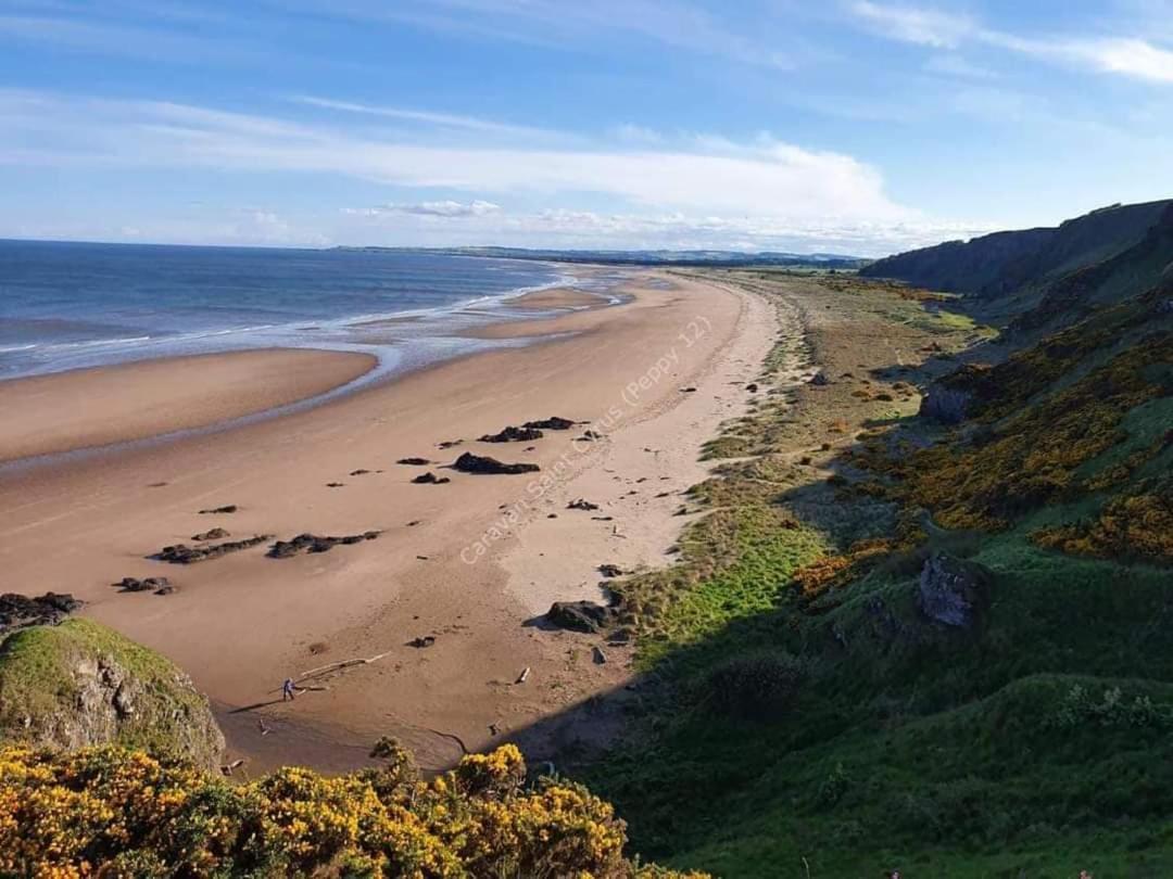 Wrights Retreat 4 Lunan View St Cyrus Caravan Park Saint Cyrus Exteriér fotografie